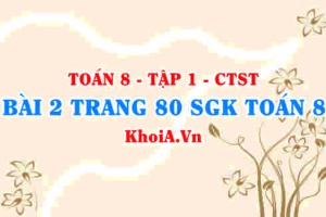 Bài 2 trang 80 SGK Toán 8 Tập 1 Chân trời sáng tạo